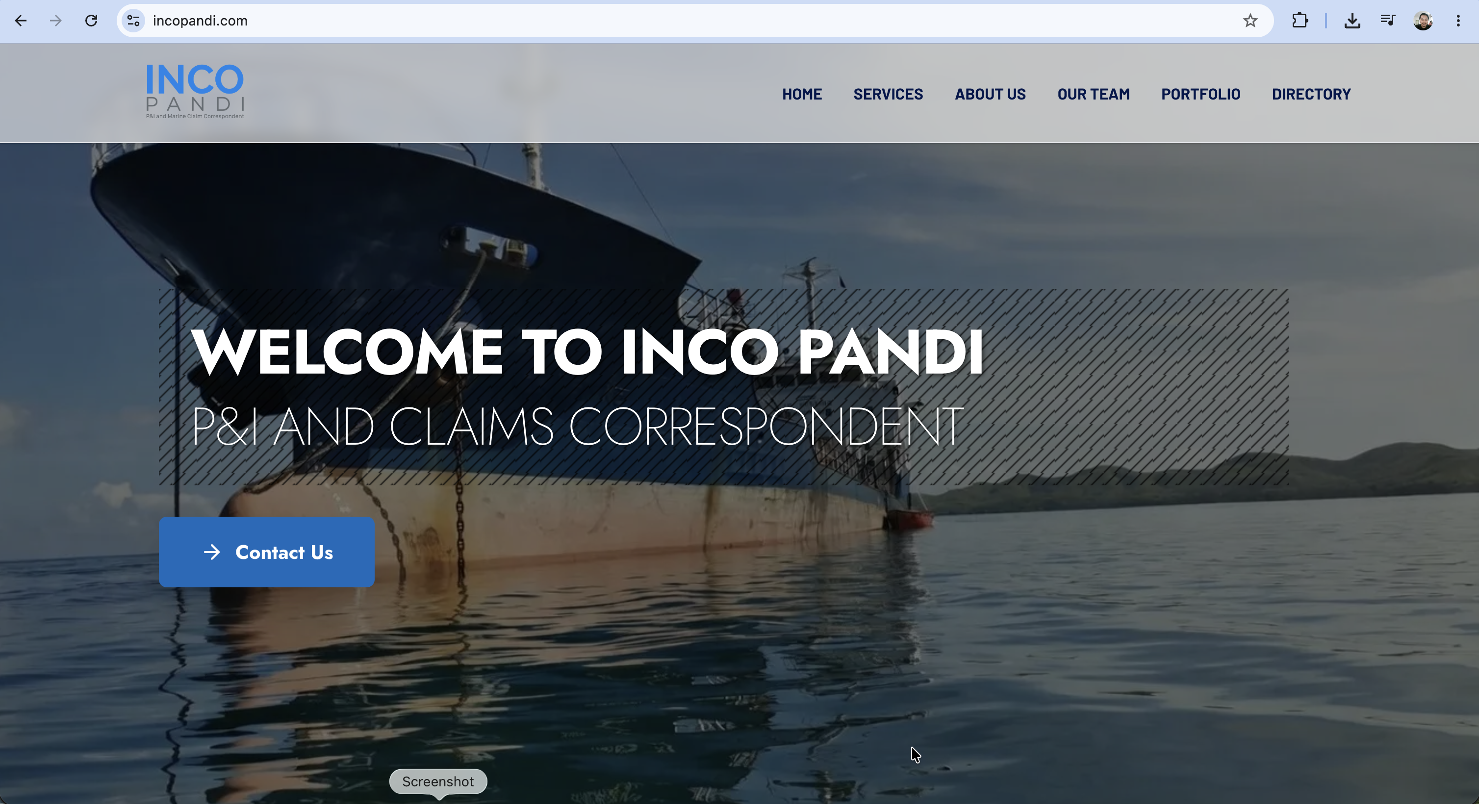 Tampilan Incopandi Company Profile